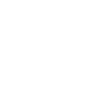 The Dubai Mall